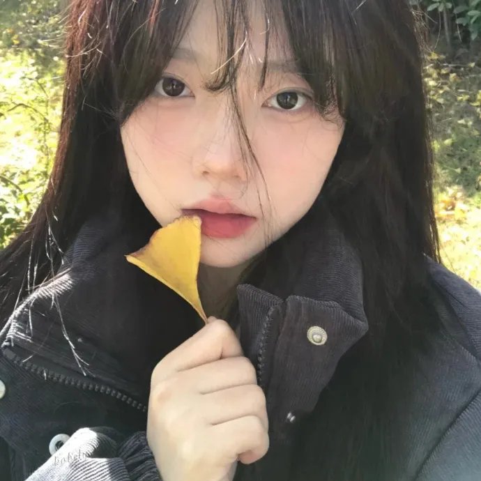 执念如影
