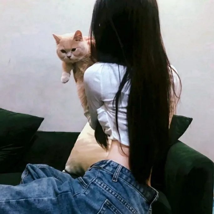 蓝调之歌